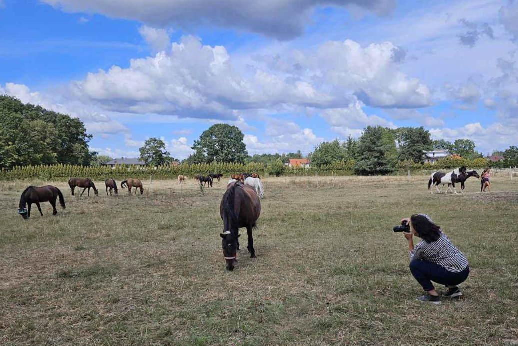 Вы сейчас просматриваете Dzień Fotografa | Profesjonalna sesja zdjęciowa z koniem